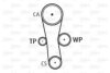 CITRO X47OESKDP Water Pump & Timing Belt Kit